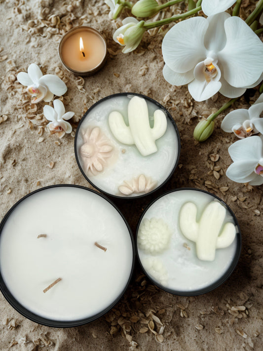 Coastal Bloom WAX MELTS ONLY