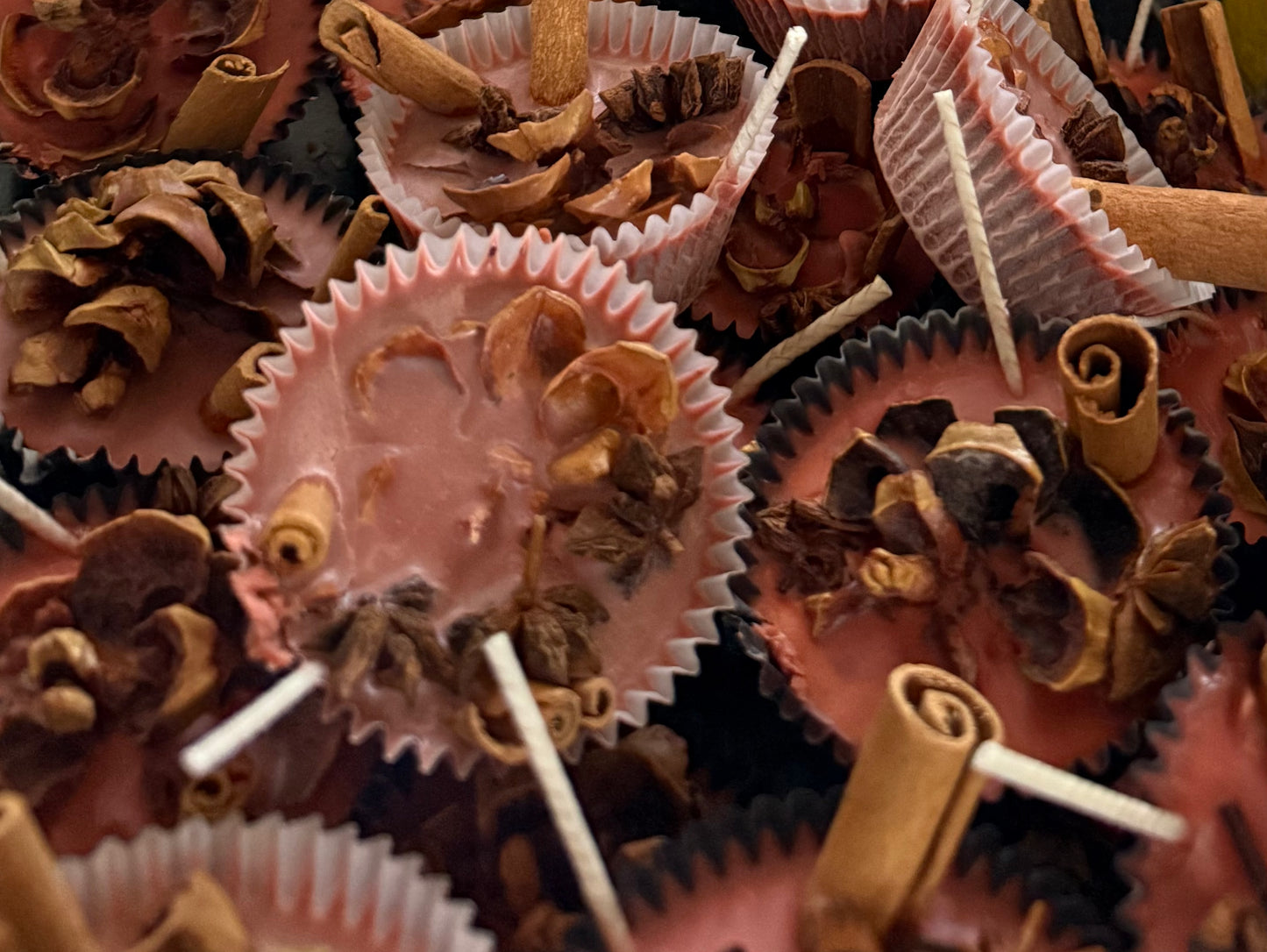 FIRESTARTERS (3 Pack)